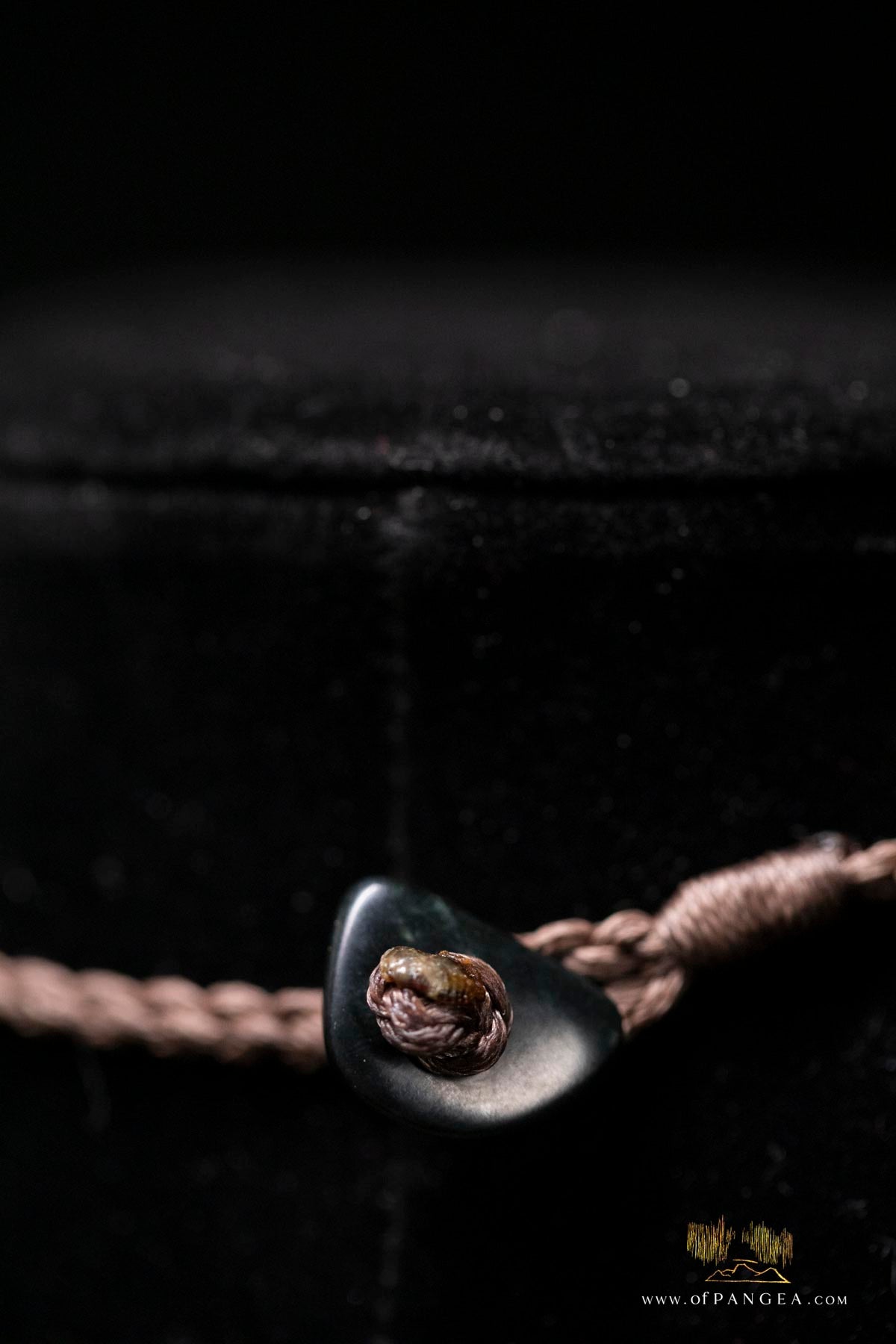 Megalodon Shark Tooth (extinct) Necklace - Waxed Cord and Jade Toggle || JF185