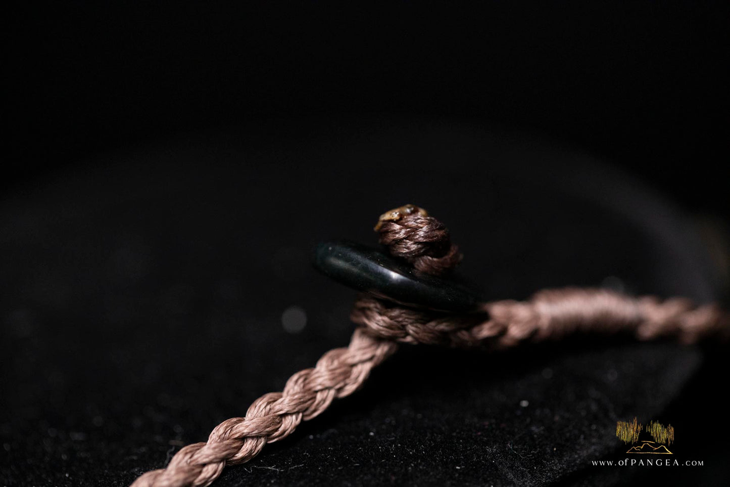 Megalodon Shark Tooth (extinct) Necklace - Waxed Cord and Jade Toggle || JF185