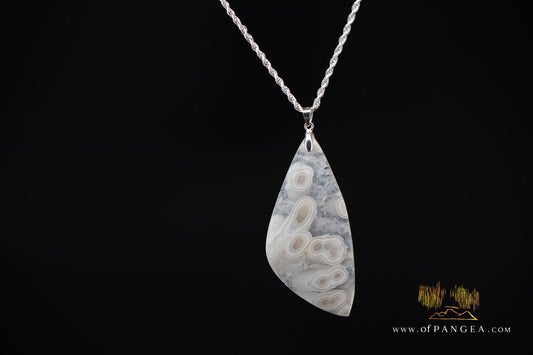 Agatized Fossil Coral Teardrop Tube Agate Necklace - Sterling Silver || JF1861