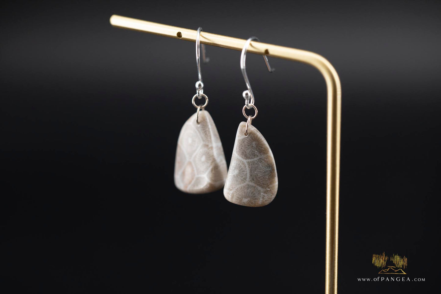 Fossilized coral earrings - sterling silver || JF188