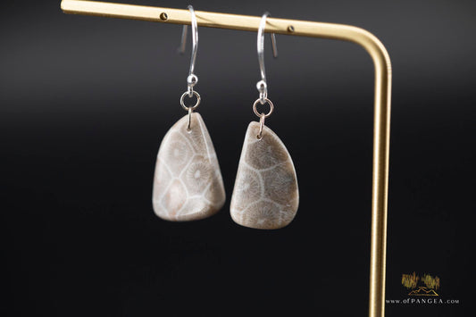 Fossilized coral earrings - sterling silver || JF188