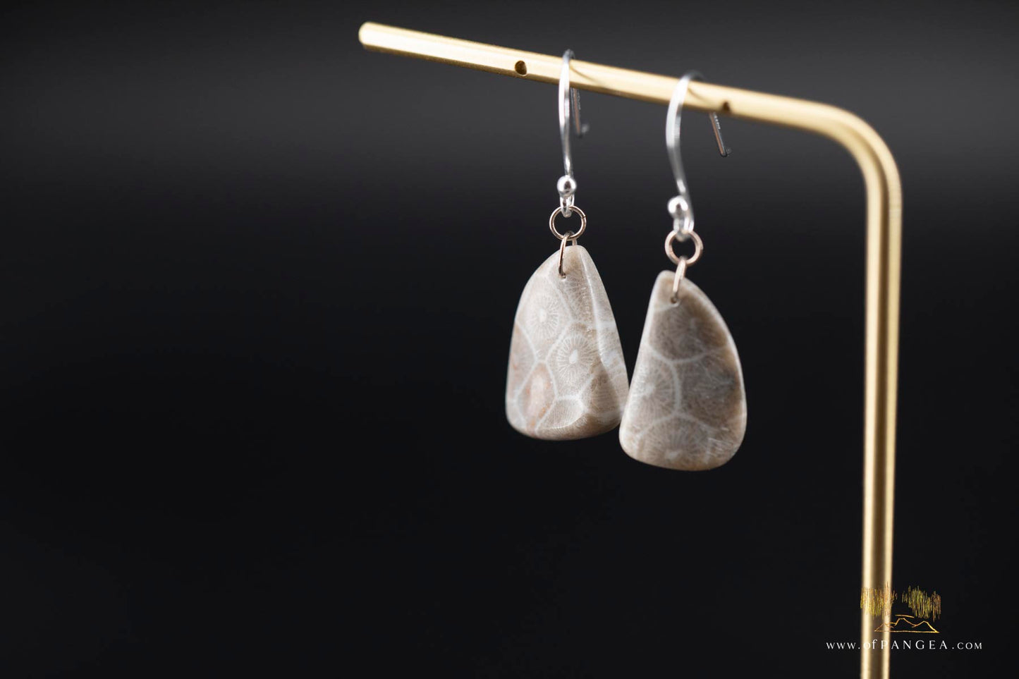 Fossilized coral earrings - sterling silver || JF188