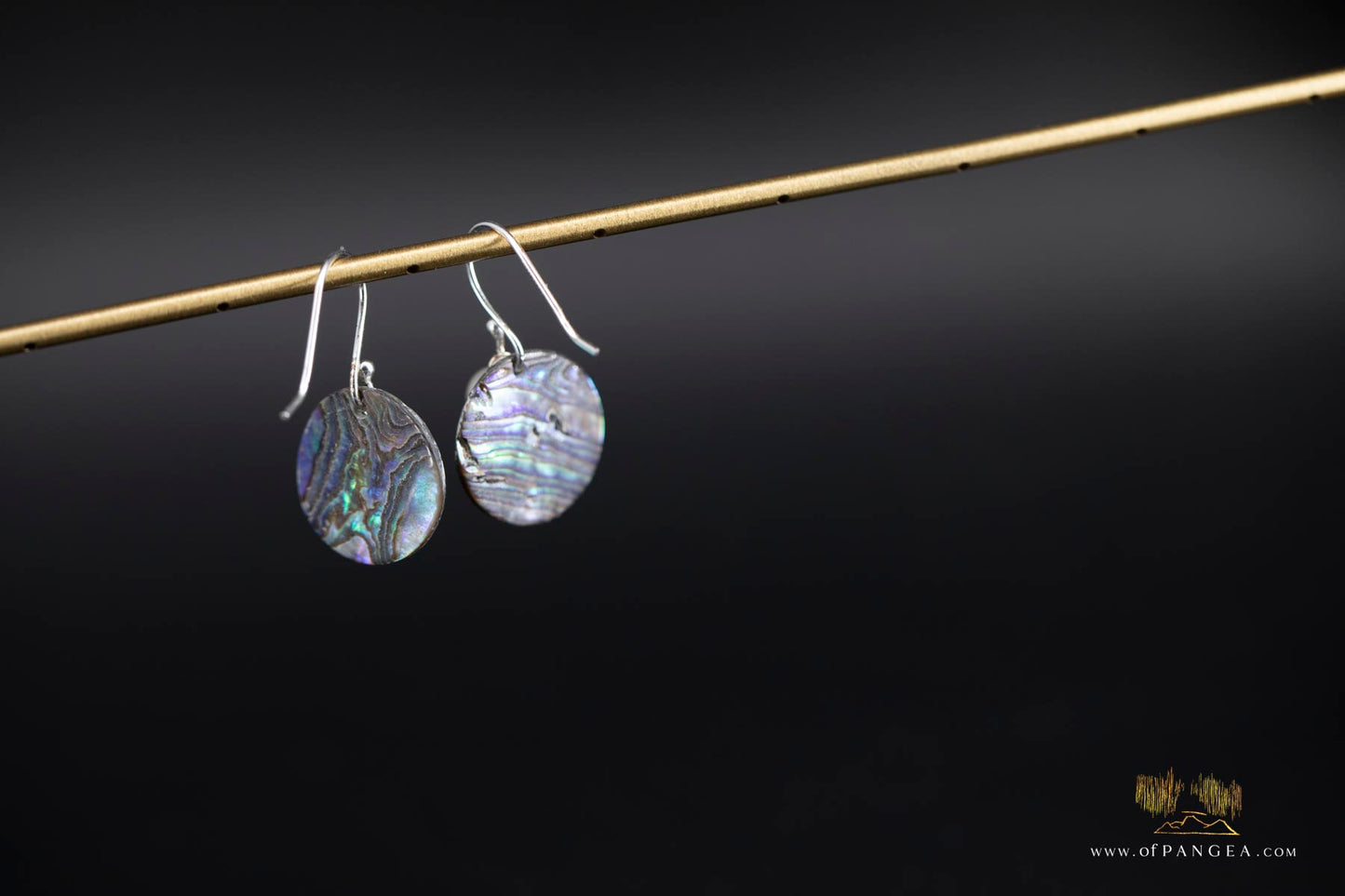 Paua Abalone 20mm disc earrings & AAA Pearl - sterling silver