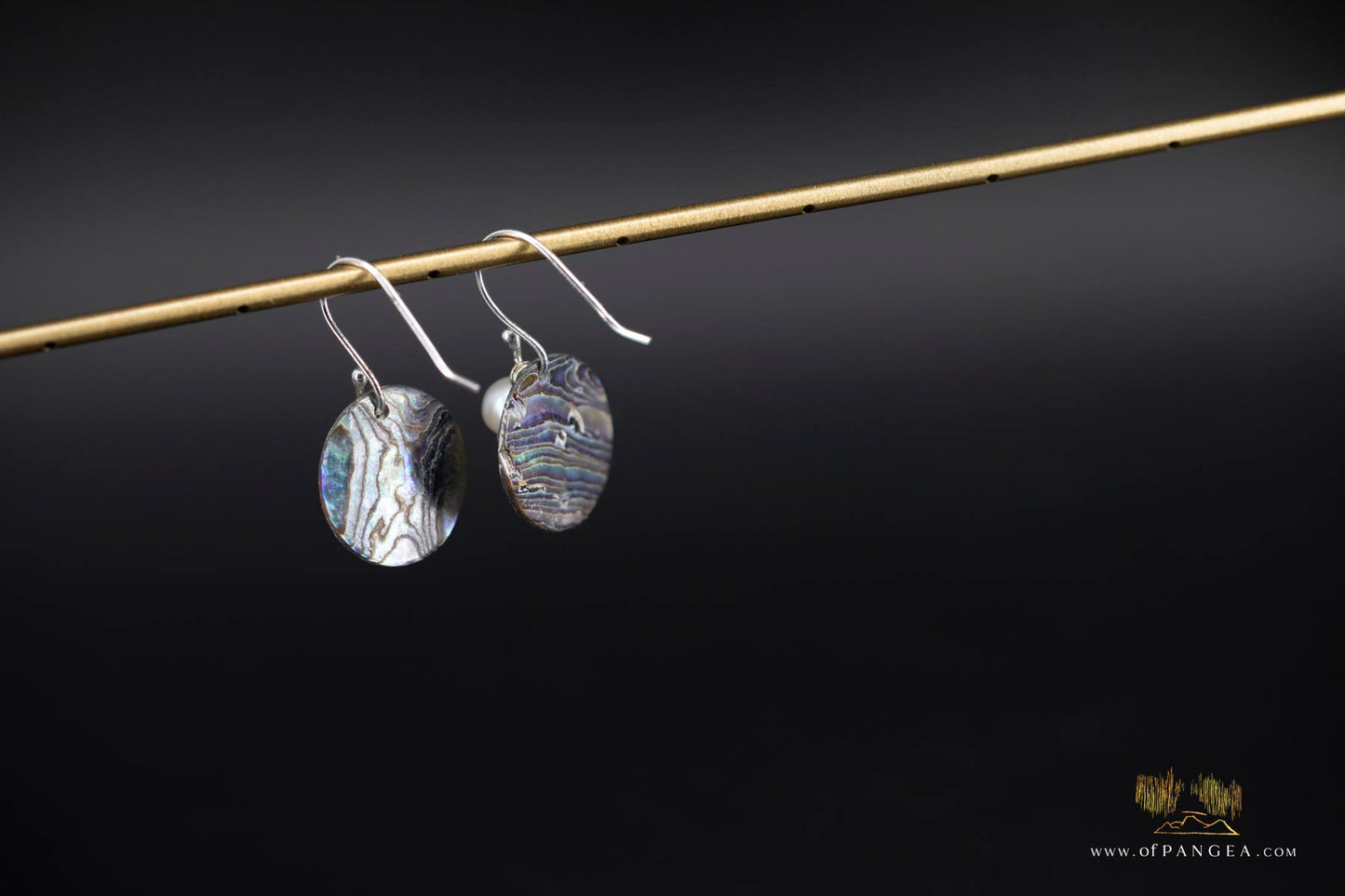 Paua Abalone 20mm disc earrings & AAA Pearl - sterling silver