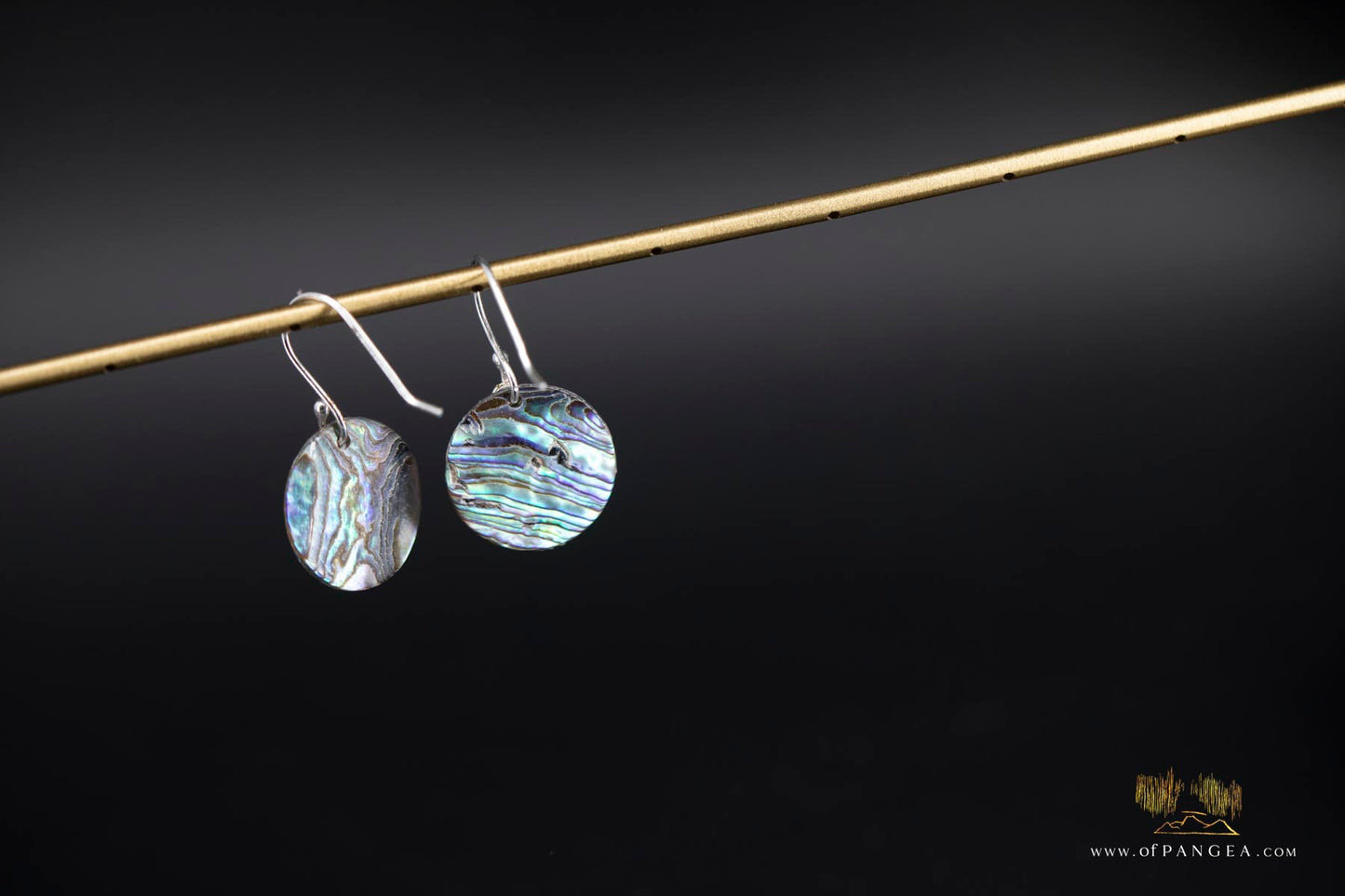 Paua Abalone 20mm disc earrings & AAA Pearl - sterling silver