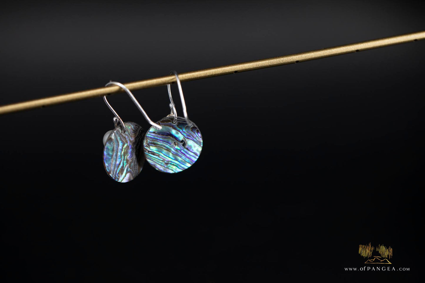 Paua Abalone 20mm disc earrings & AAA Pearl - sterling silver