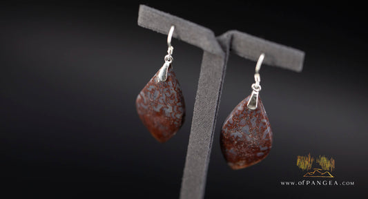 Dinosaur Gembone earrings - 0.925 sterling silver || JF2020