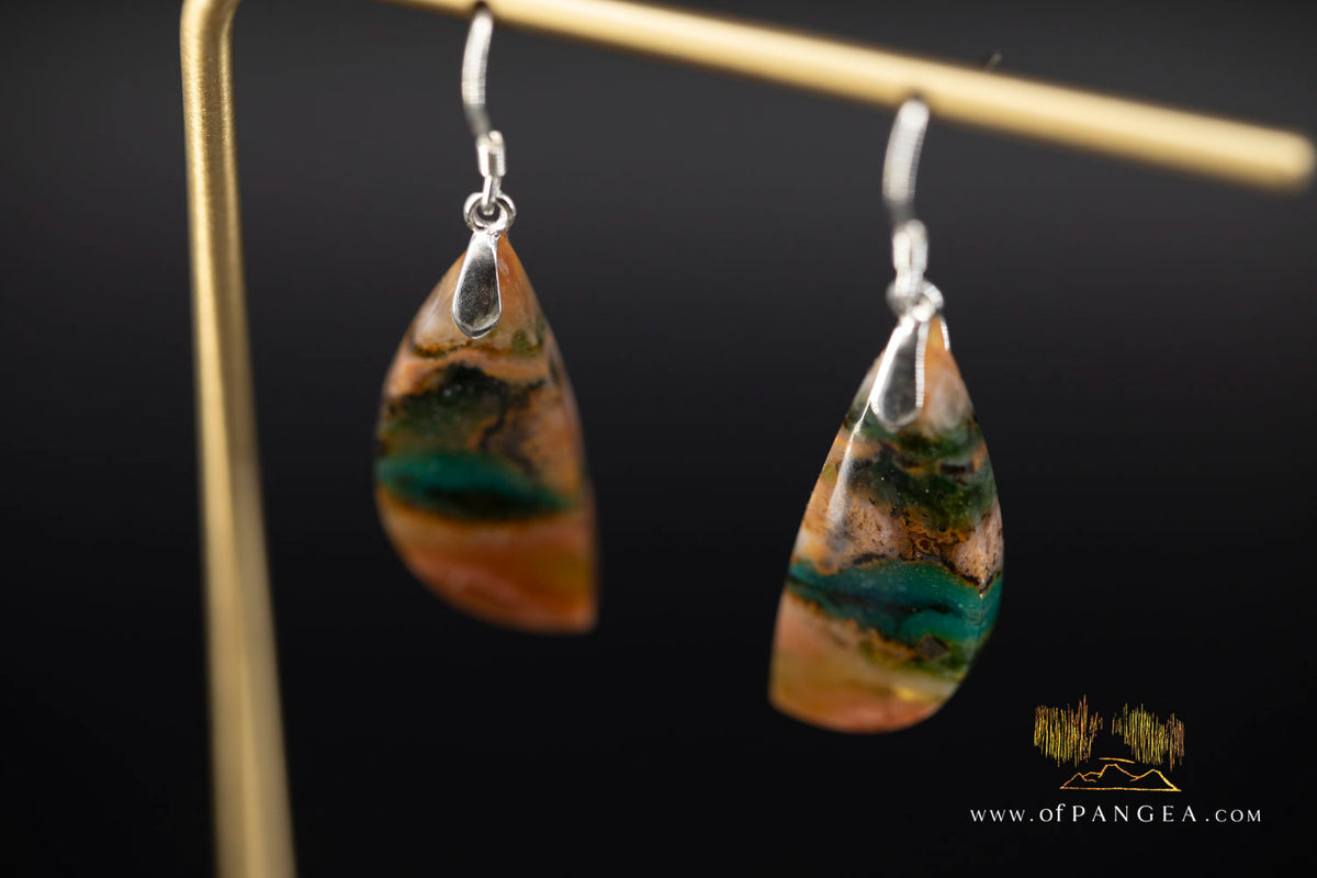 Petrified Wood Earrings - Opalized - Sterling Silver || JF2021