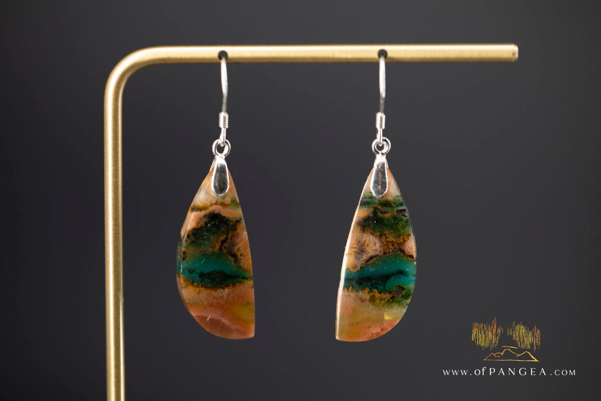 Petrified Wood Earrings - Opalized - Sterling Silver || JF2021