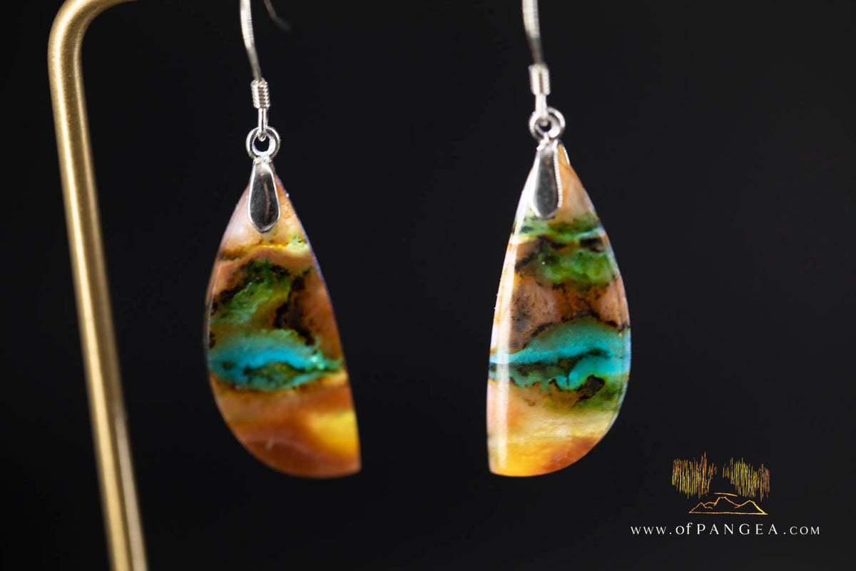 Petrified Wood Earrings - Opalized - Sterling Silver || JF2021