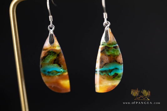 Petrified Wood Earrings - Opalized - Sterling Silver || JF2021
