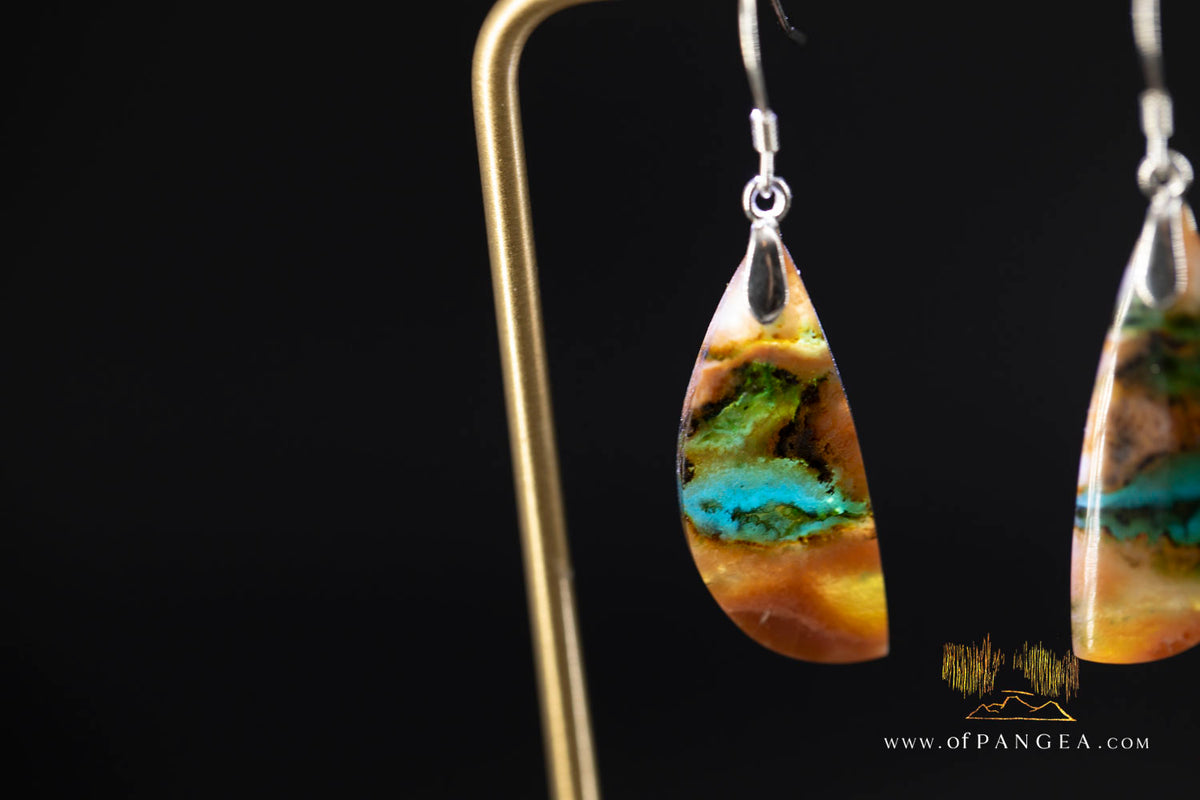 Petrified Wood Earrings - Opalized - Sterling Silver || JF2021