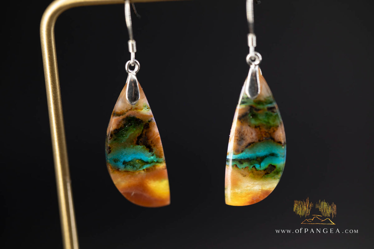 Petrified Wood Earrings - Opalized - Sterling Silver || JF2021