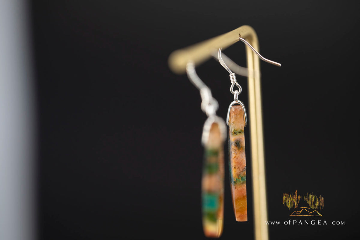 Petrified Wood Earrings - Opalized - Sterling Silver || JF2021