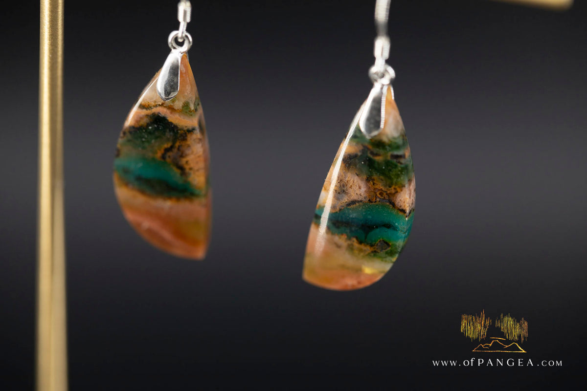 Petrified Wood Earrings - Opalized - Sterling Silver || JF2021