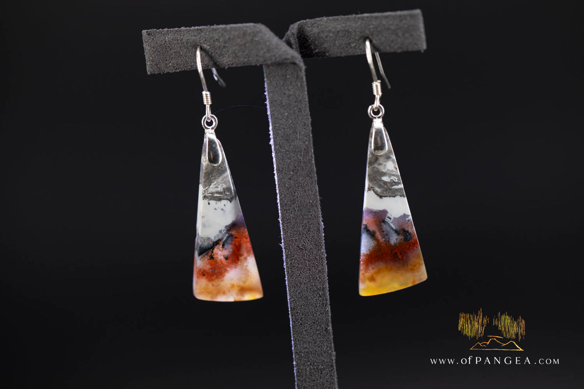 Petrified Wood Earrings - Opalized - Sterling Silver || JF2022