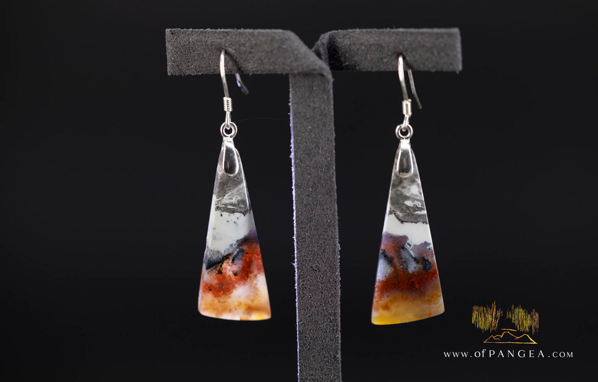 Petrified Wood Earrings - Opalized - Sterling Silver || JF2022