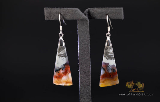 Petrified Wood Earrings - Opalized - Sterling Silver || JF2022