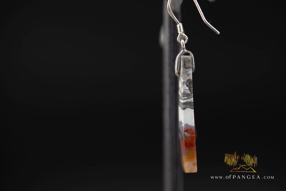 Petrified Wood Earrings - Opalized - Sterling Silver || JF2022
