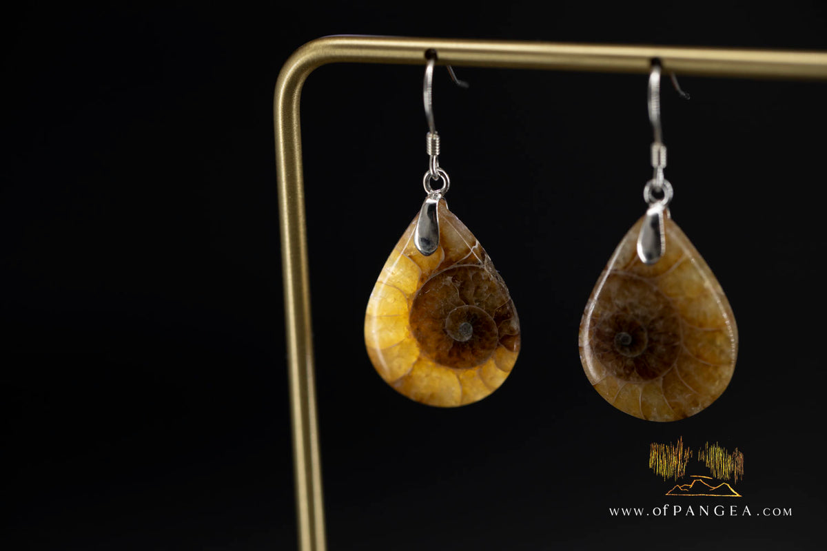 Per-mineralized Ammonite Half teardrop Earings - sterling silver || JF2058