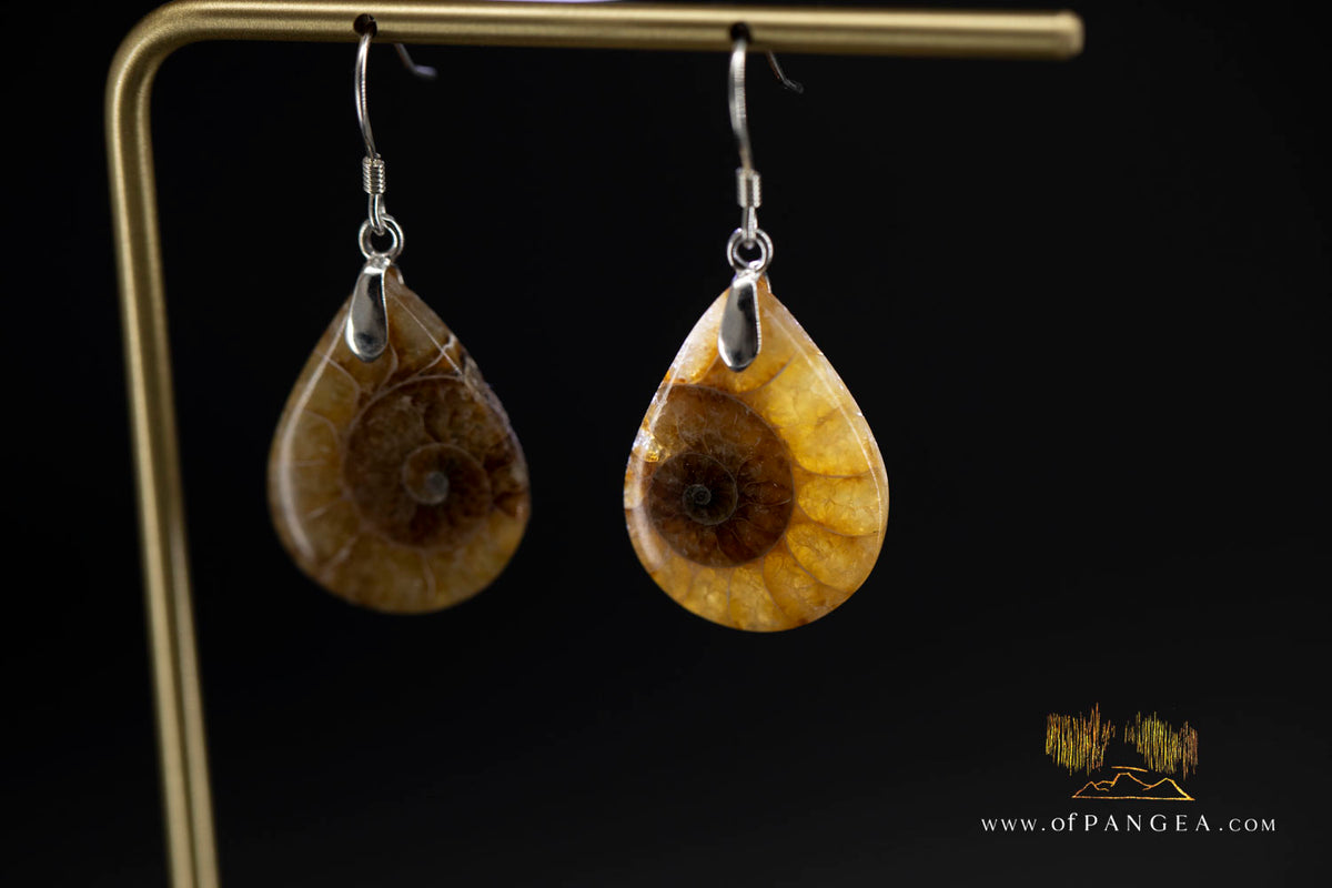 Per-mineralized Ammonite Half teardrop Earings - sterling silver || JF2058