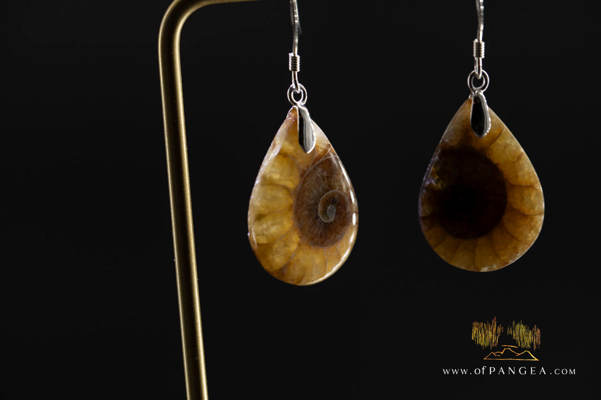 Per-mineralized Ammonite Half teardrop Earings - sterling silver || JF2058