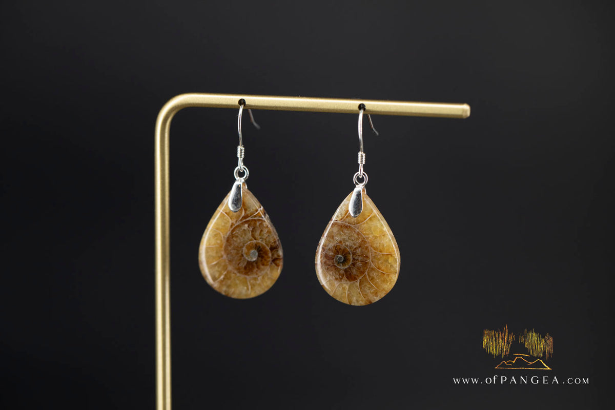 Per-mineralized Ammonite Half teardrop Earings - sterling silver || JF2058