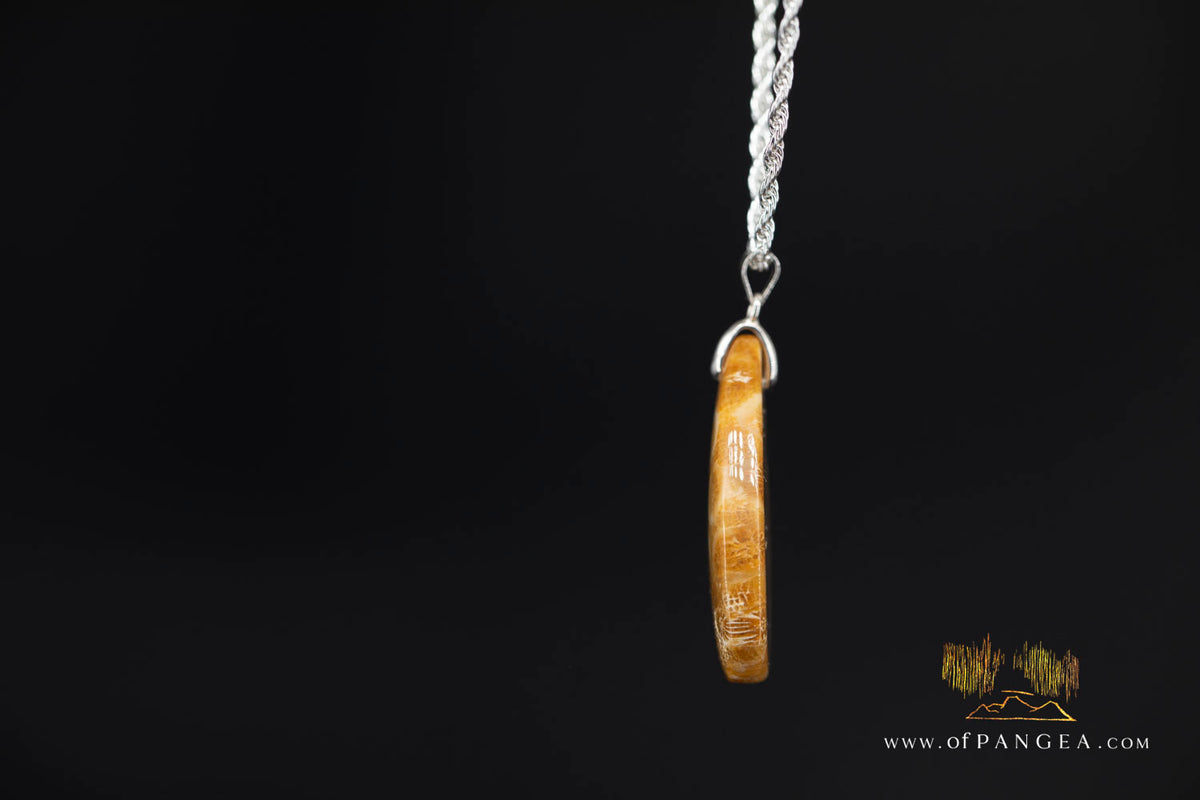 Agatized Fossil Coral Teardrop - Necklace - Sterling Silver || JF2059