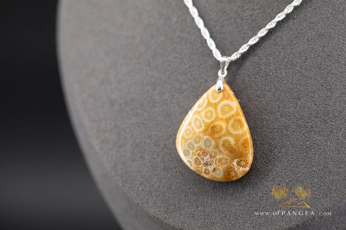 Agatized Fossil Coral Teardrop - Necklace - Sterling Silver || JF2059