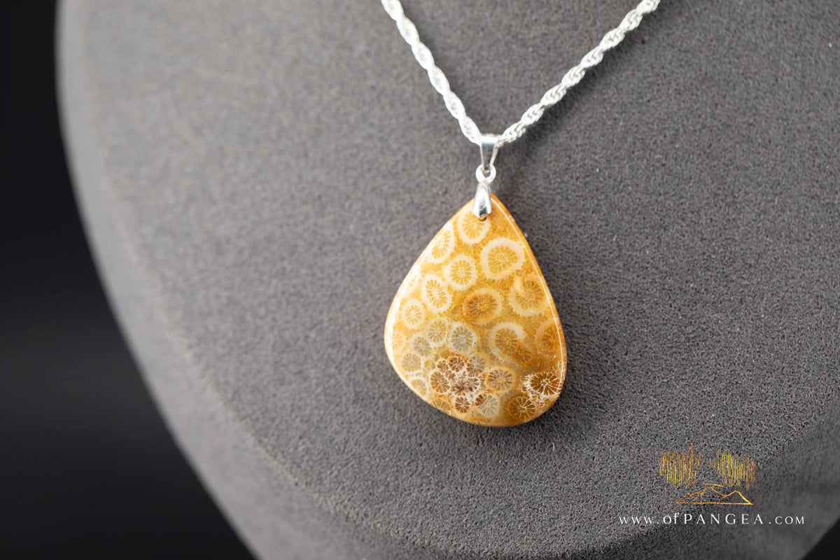 Agatized Fossil Coral Teardrop - Necklace - Sterling Silver || JF2059