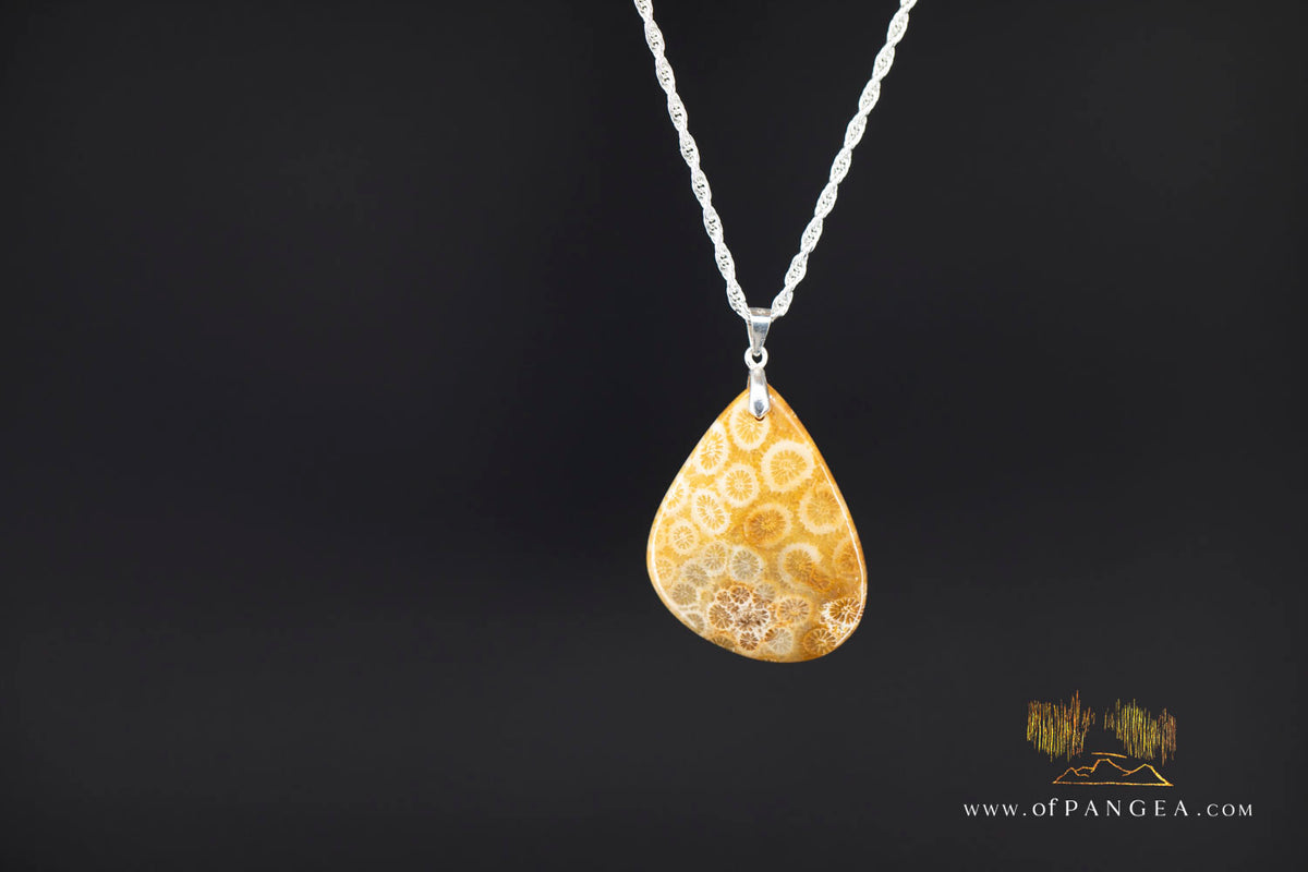 Agatized Fossil Coral Teardrop - Necklace - Sterling Silver || JF2059