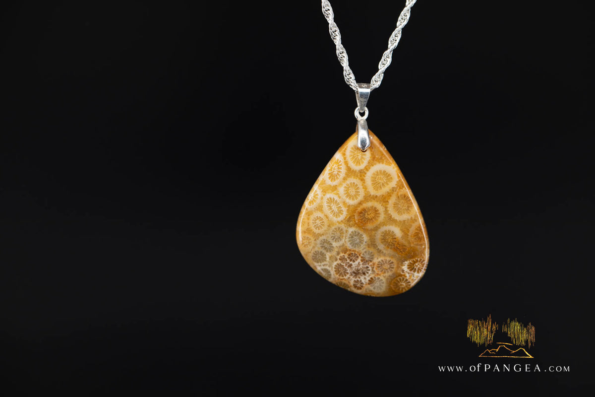 Agatized Fossil Coral Teardrop - Necklace - Sterling Silver || JF2059