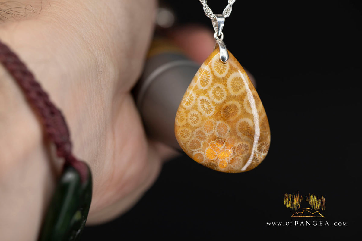 Agatized Fossil Coral Teardrop - Necklace - Sterling Silver || JF2059