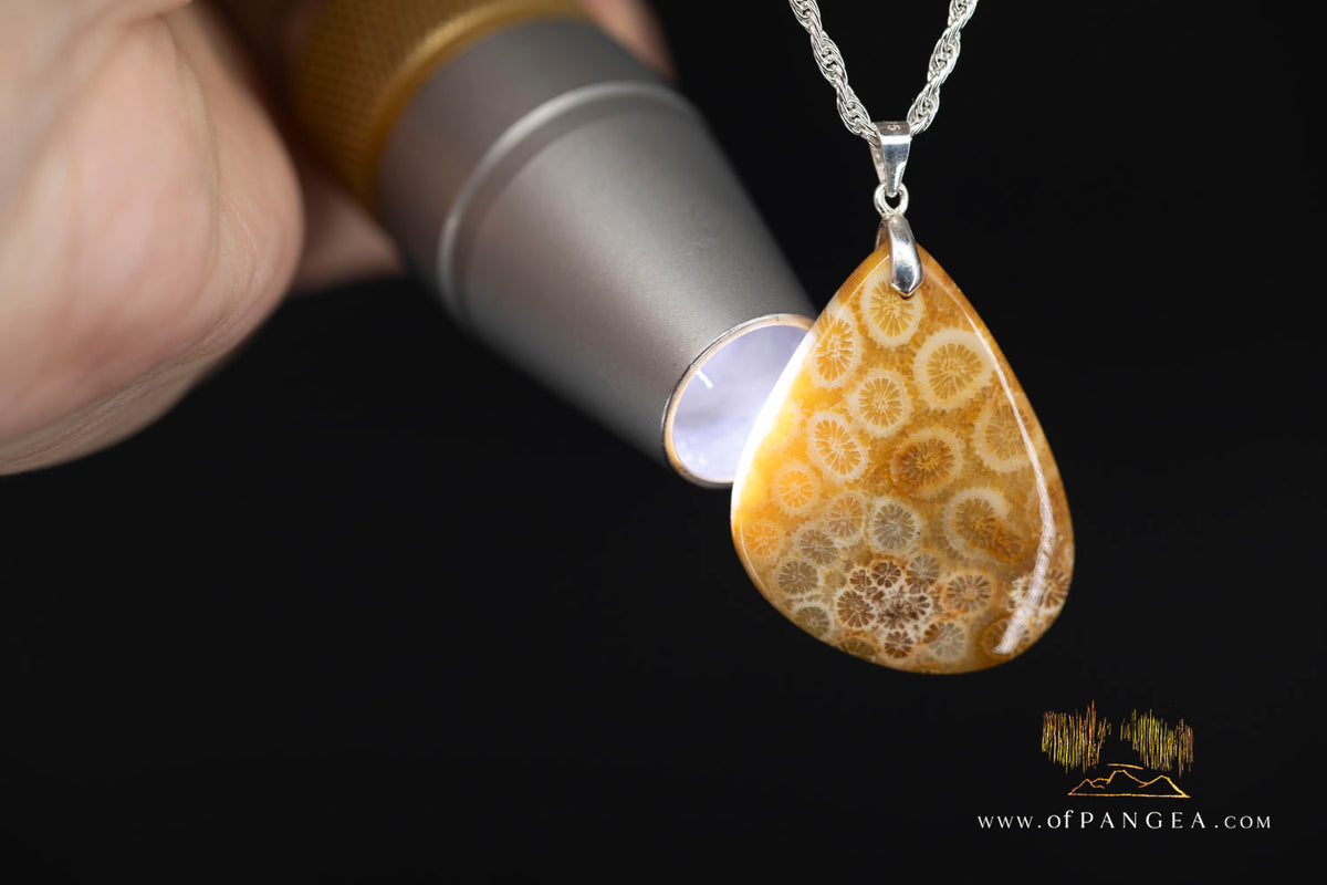 Agatized Fossil Coral Teardrop - Necklace - Sterling Silver || JF2059
