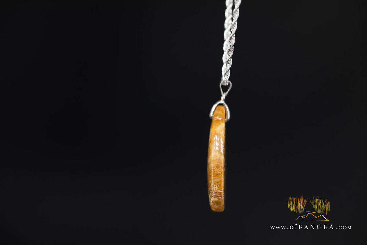 Agatized Fossil Coral Teardrop - Necklace - Sterling Silver || JF2059