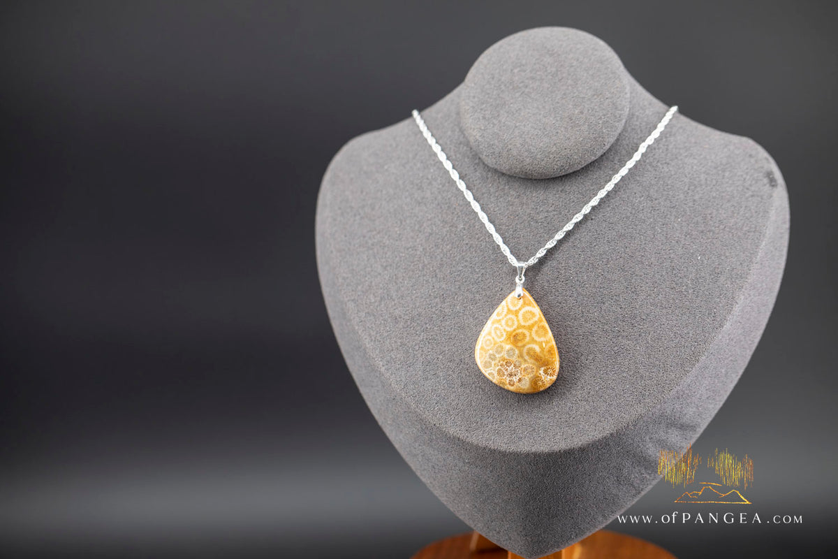 Agatized Fossil Coral Teardrop - Necklace - Sterling Silver || JF2059