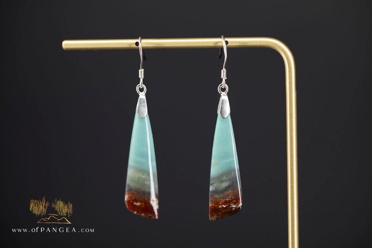 Petrified Wood Earrings - Opalized - Sterling Silver || JF2068