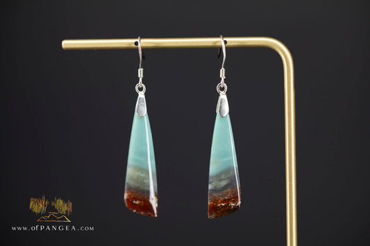 Petrified Wood Earrings - Opalized - Sterling Silver || JF2068