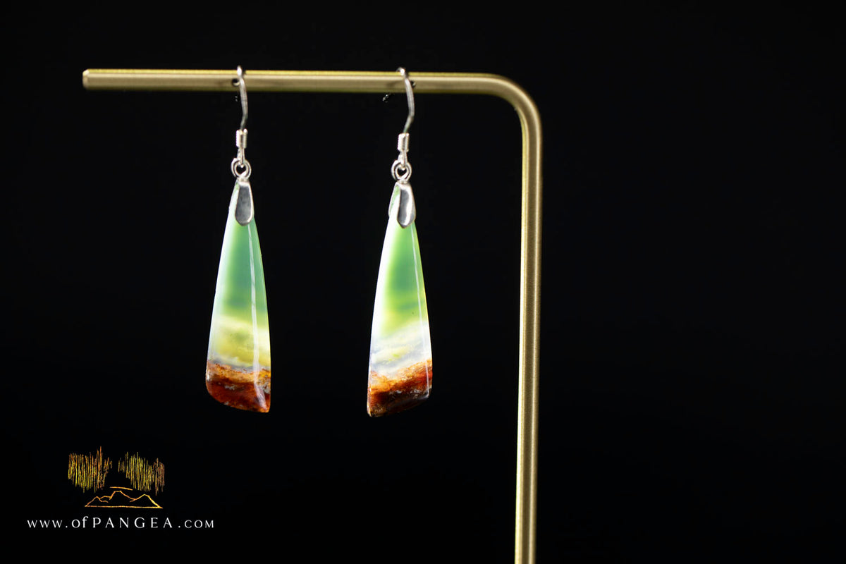 Petrified Wood Earrings - Opalized - Sterling Silver || JF2068
