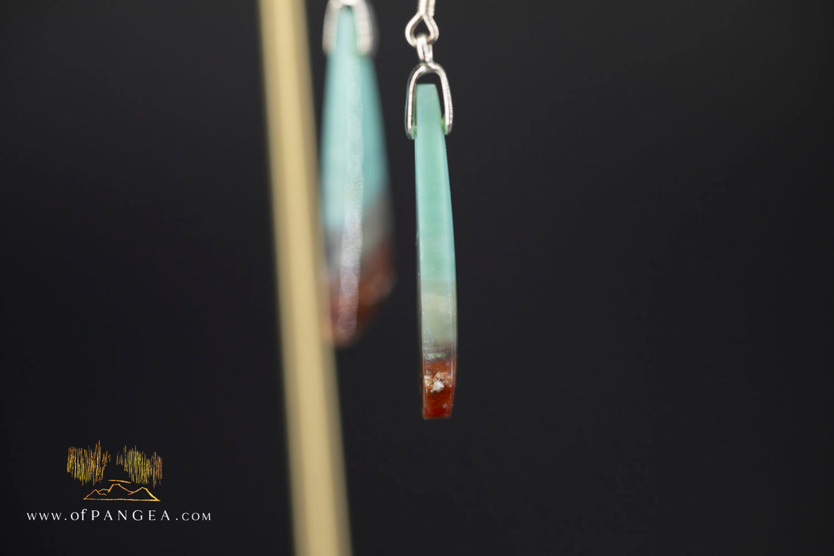 Petrified Wood Earrings - Opalized - Sterling Silver || JF2068