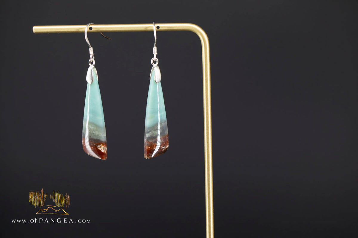 Petrified Wood Earrings - Opalized - Sterling Silver || JF2068