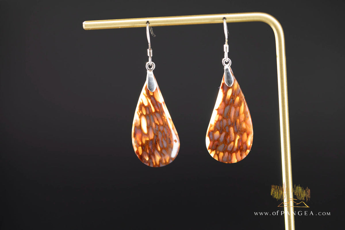 Petrified Palm Wood Drop Earrings - Italian .925 sterling silver || JF2084