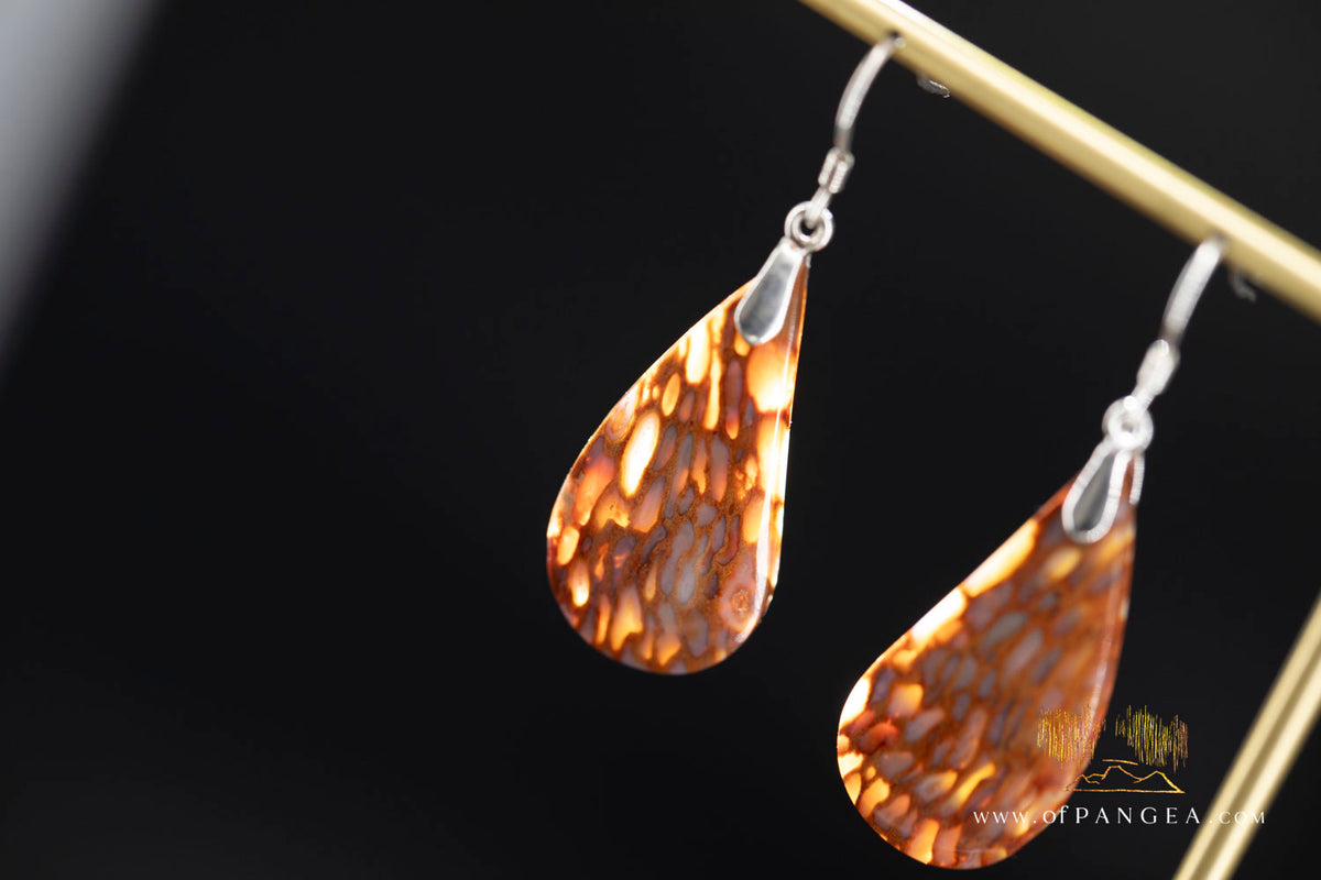 Petrified Palm Wood Drop Earrings - Italian .925 sterling silver || JF2084