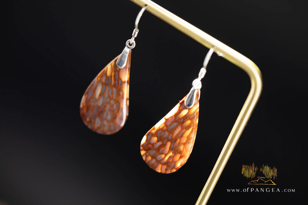 Petrified Palm Wood Drop Earrings - Italian .925 sterling silver || JF2084