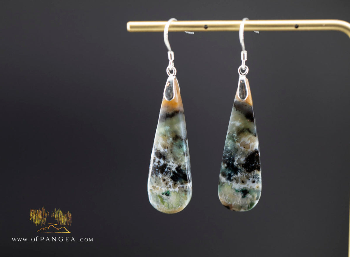 Petrified Wood Earrings - Opalized - Sterling Silver || JF2086