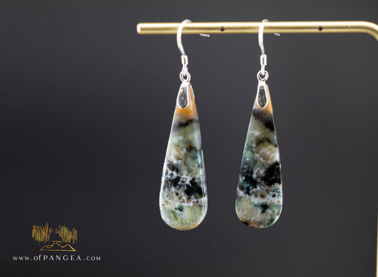 Petrified Wood Earrings - Opalized - Sterling Silver || JF2086