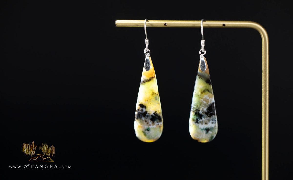 Petrified Wood Earrings - Opalized - Sterling Silver || JF2086