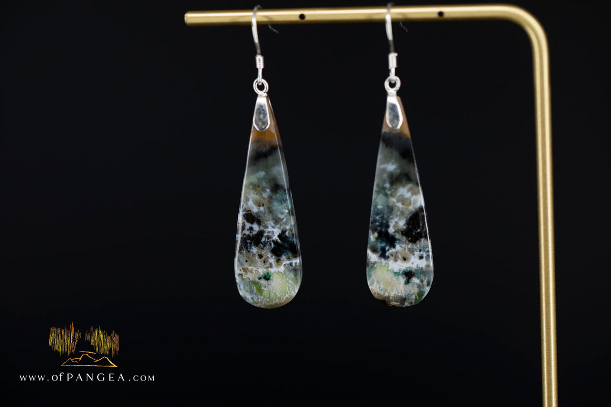 Petrified Wood Earrings - Opalized - Sterling Silver || JF2086