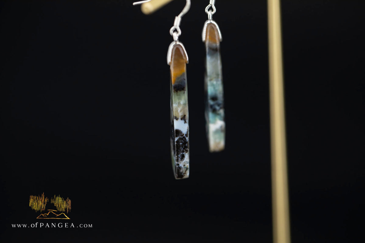 Petrified Wood Earrings - Opalized - Sterling Silver || JF2086