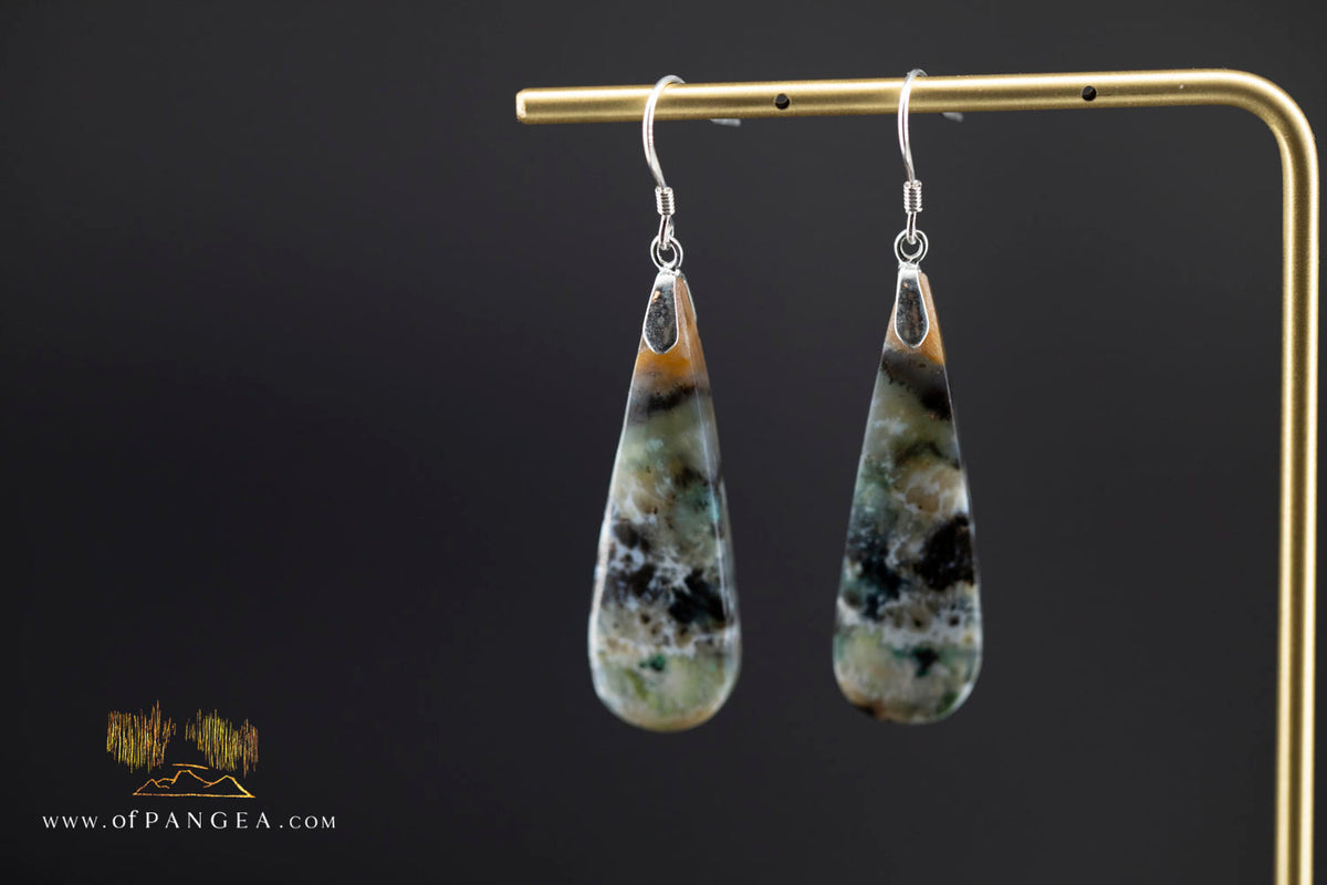 Petrified Wood Earrings - Opalized - Sterling Silver || JF2086